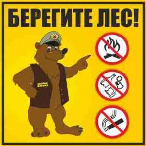 ЛА-41 Аншлаг Берегите лес
