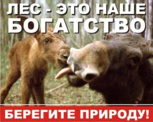 ЛА-20 Аншлаг Берегите природу